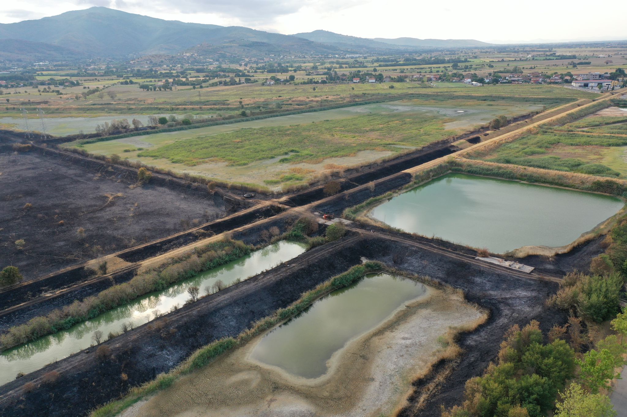 Zona Ex Sadam: in fumo la vegetazione ed il nulla di cui è stata oggetto in questi anni