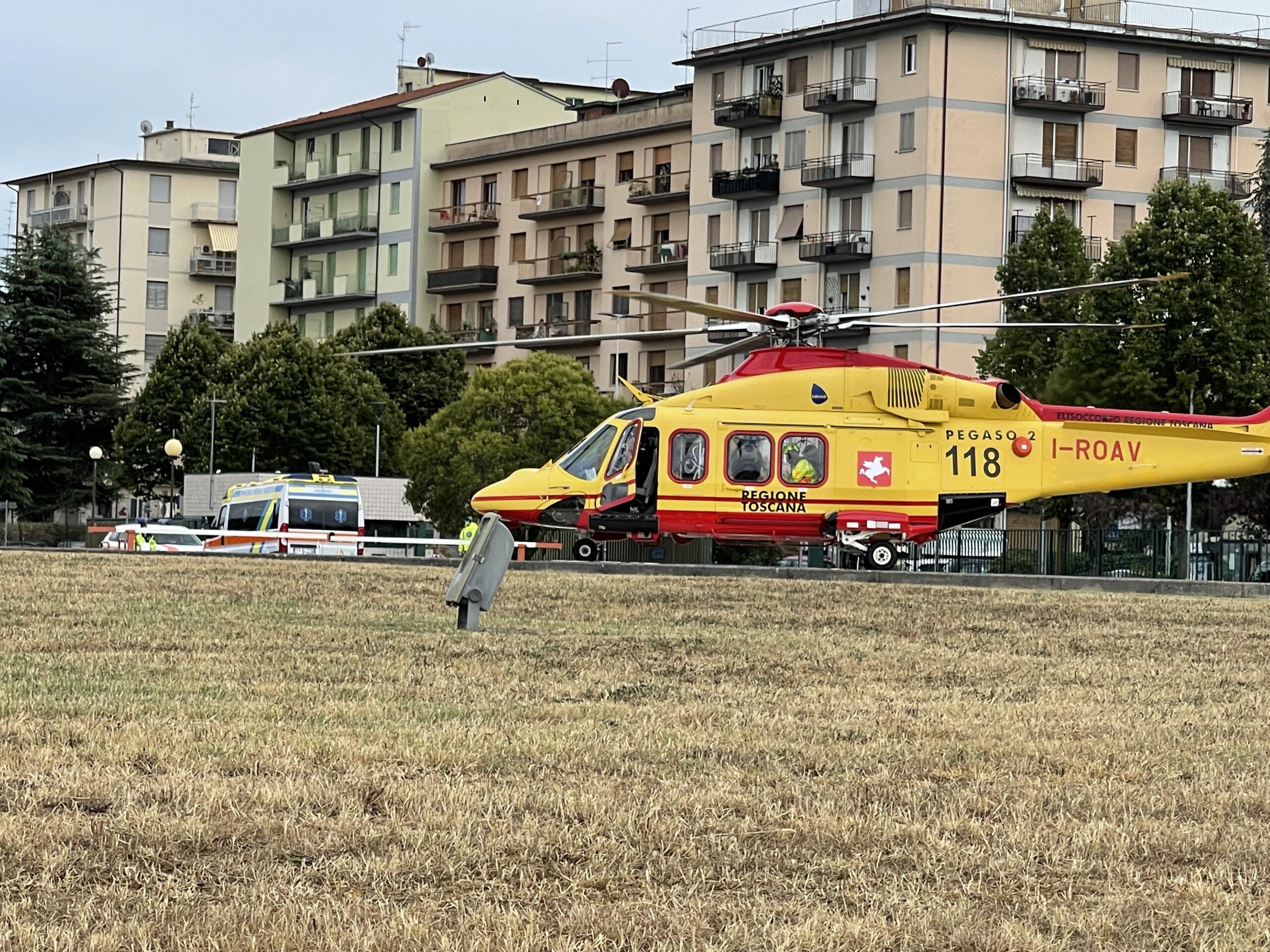 Ferito da un calcio di un cavallo, bimbo di 8 anni ricoverato in codice giallo al Meyer