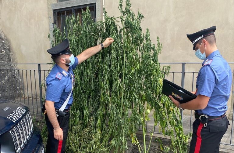 Bibbiena: un altro fine settimana di intensi controlli dei carabinieri della compagnia nella valle
