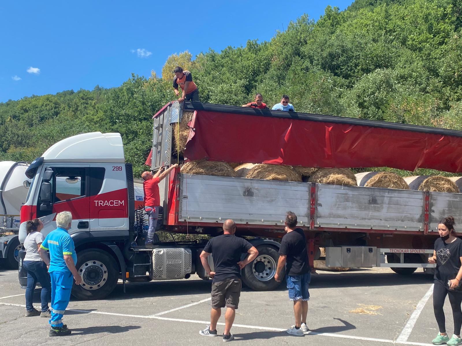 Oltre 400 presse di fieno, cereali e mangimi: è iniziato il viaggio della solidarietà casentinese