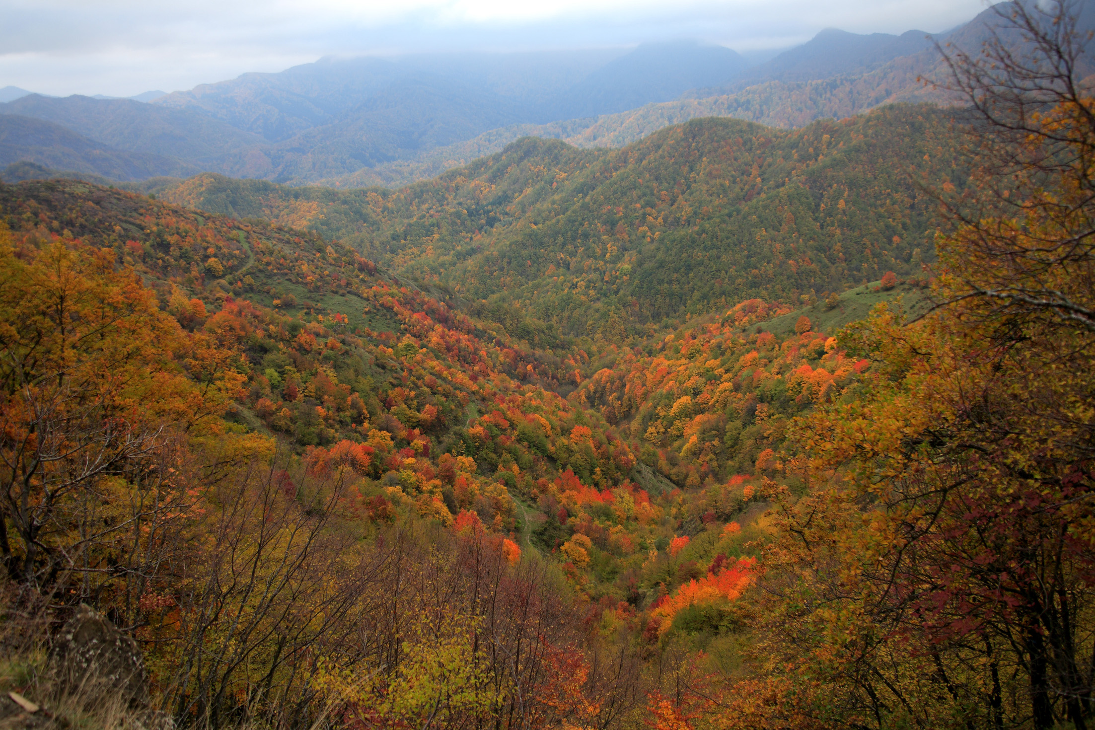 Ritorna Autunno slow nel parco nazionale delle Foreste Casentinesi