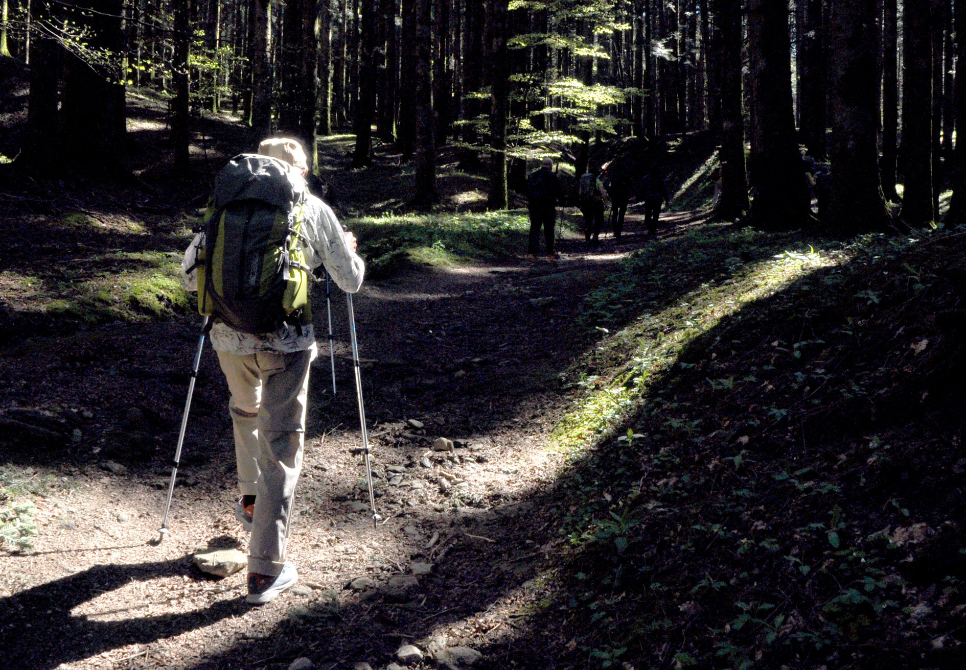 La Via delle Foreste: il 30 e il 31 ottobre l’ultimo evento a contatto con la natura