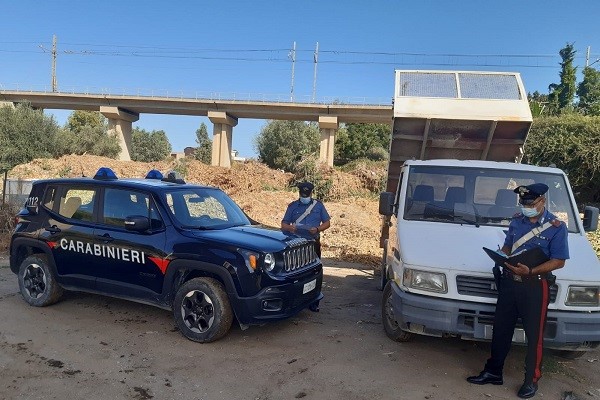 Due operazioni dei Carabinieri valdarnesi: prevenzione dell’abuso di sostanze stupefacenti e tutela dell’ambiente, 3 denunciati