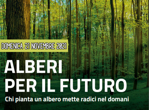 M5S: “La Giunta di Arezzo è amica degli alberi?”