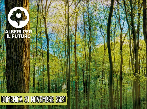 M5S: torna anche quest’anno l’appuntamento con Alberi per il Futuro