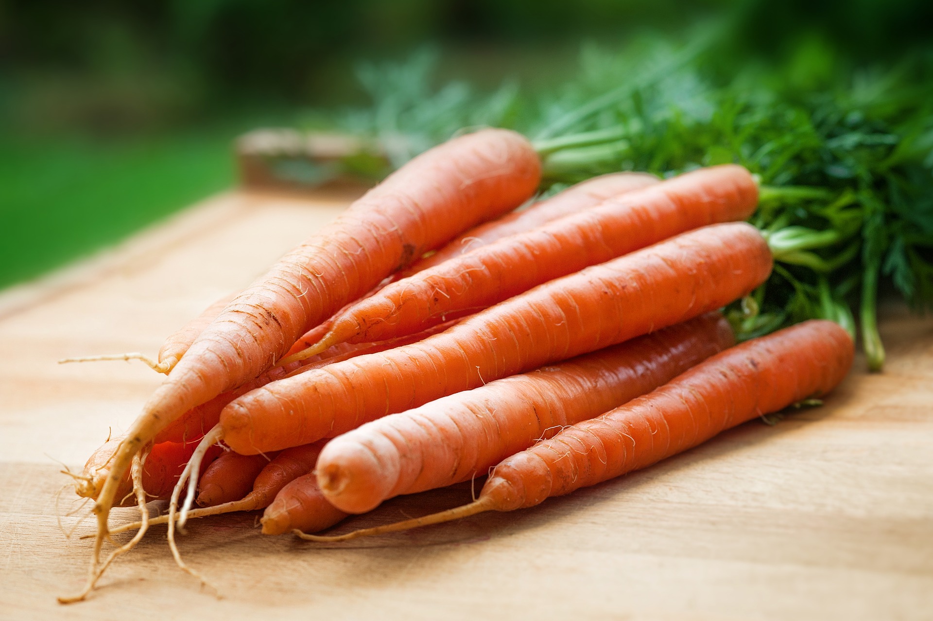 La carota, una delle verdure più comuni negli orti casalinghi