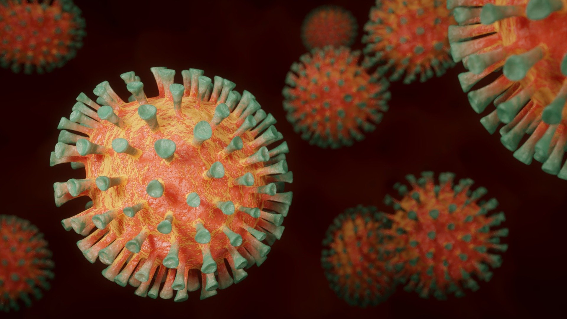 Coronavirus: 804 nuovi casi nell’aretino, 36 persone in degenza covid, 9 in terapia intensiva, 1 decesso