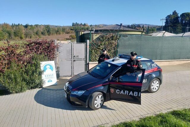 Ruba alcolici al bar della piscina Blue Team: arrestato