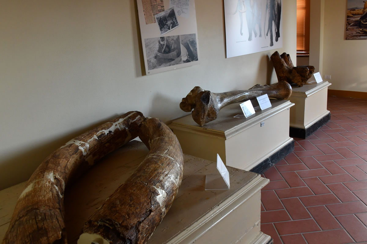 Cortona, una nuova guida racconta la storia dell’Abbazia di Farneta, sabato la presentazione