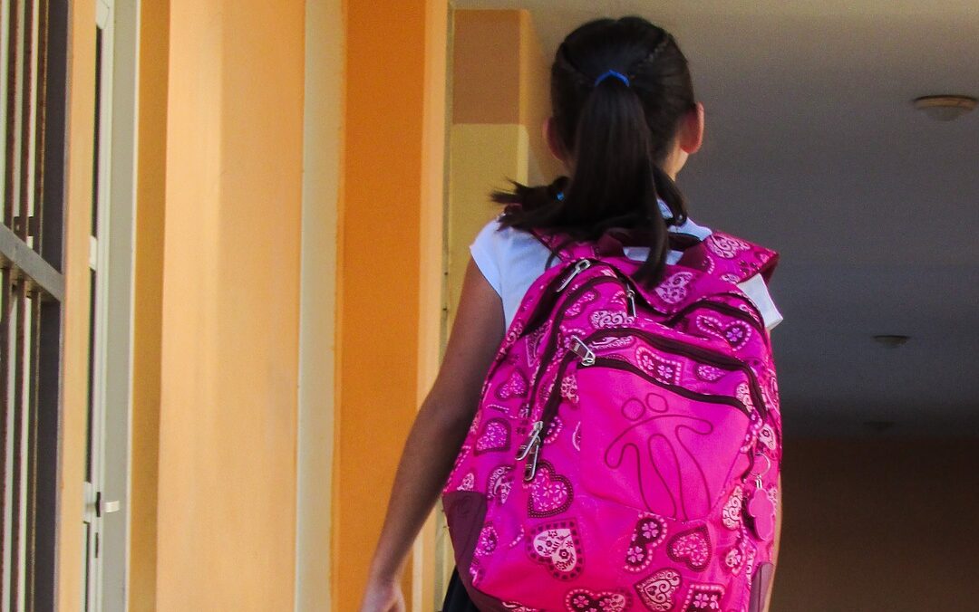 Fratelli d’Italia: “Dad e Green Pass a scuola, diciamo no alle discriminazioni”
