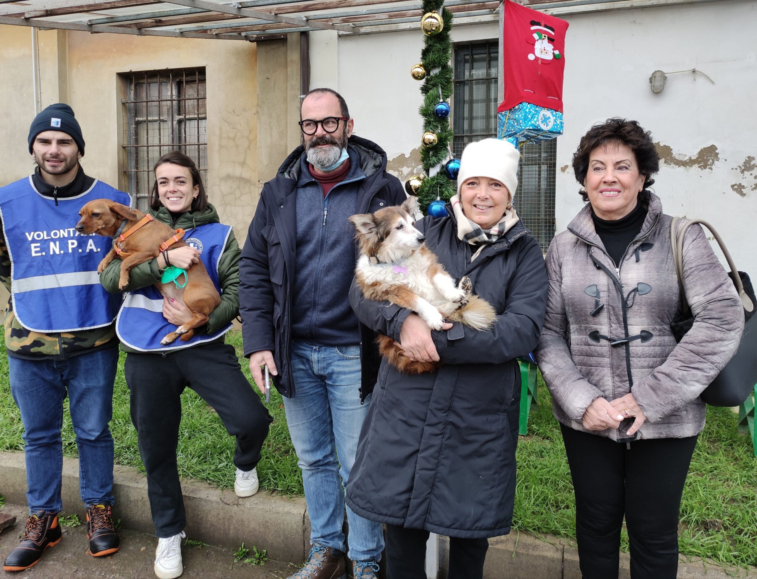 Cibo per i gatti delle colonie feline: la consegna al canile municipale