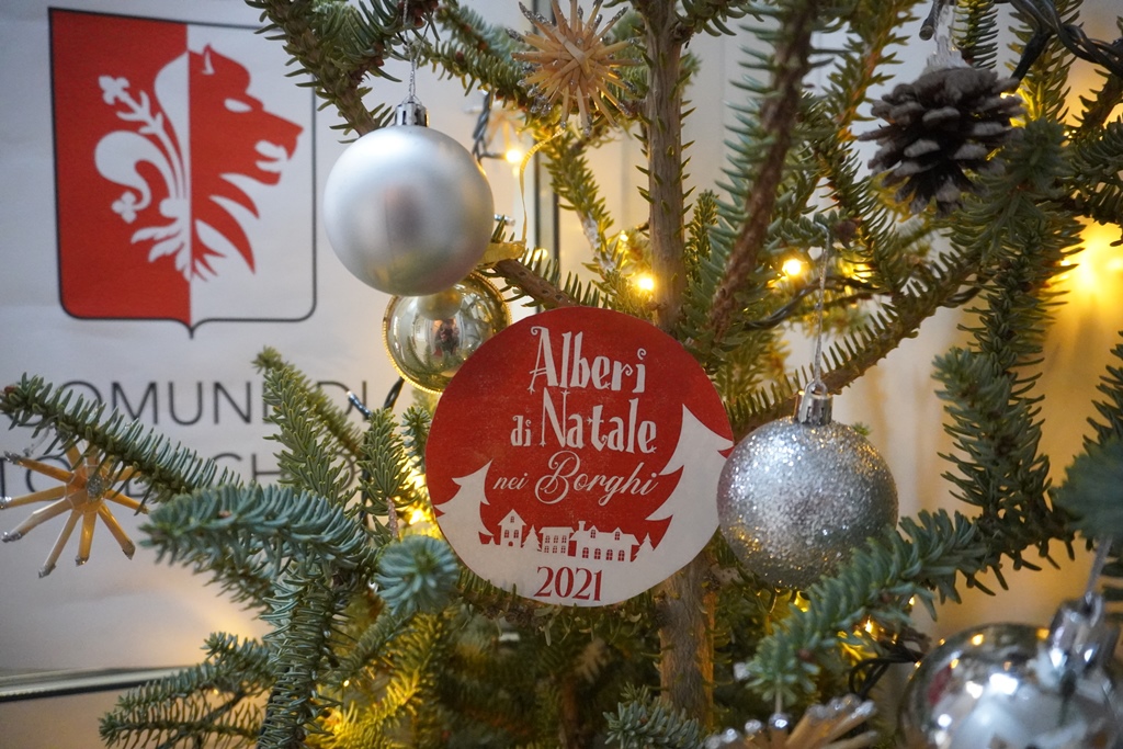 Pratovecchio Stia: arriva la seconda edizione del concorso “L’albero più bello”