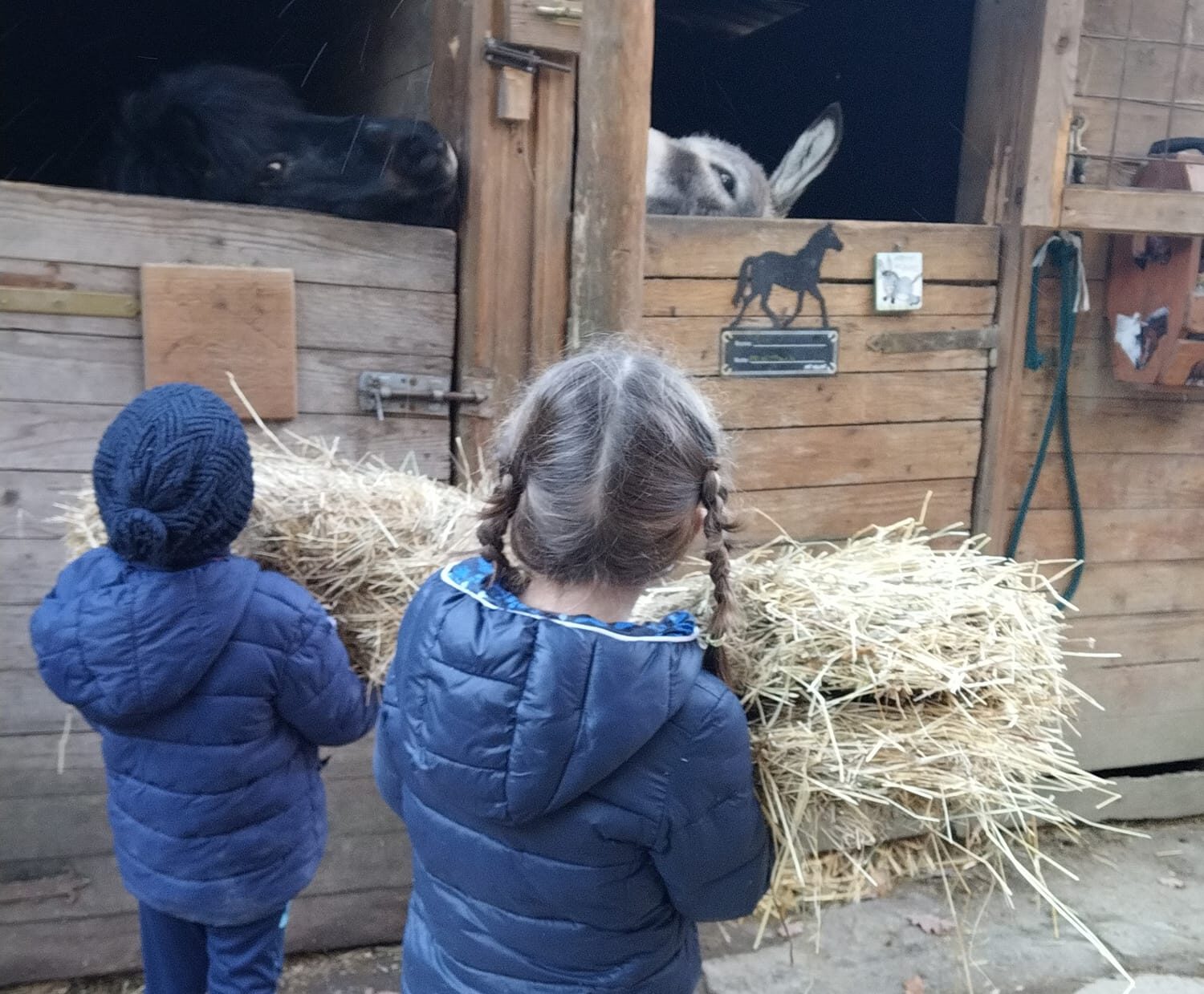 Arezzo: mattinate in scuderia per le vacanze di Natale