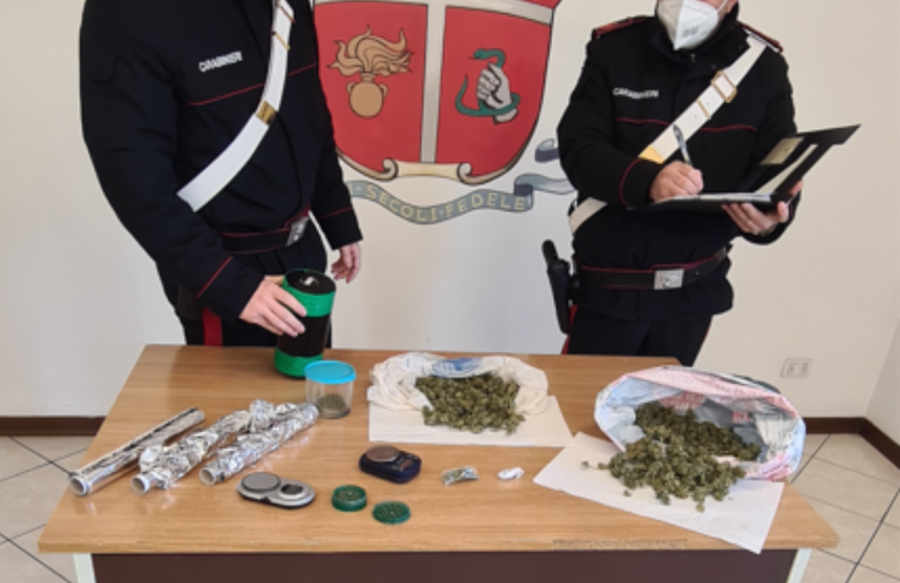 Marijuana pronta ad essere ceduta in zona Bibbiena stazione