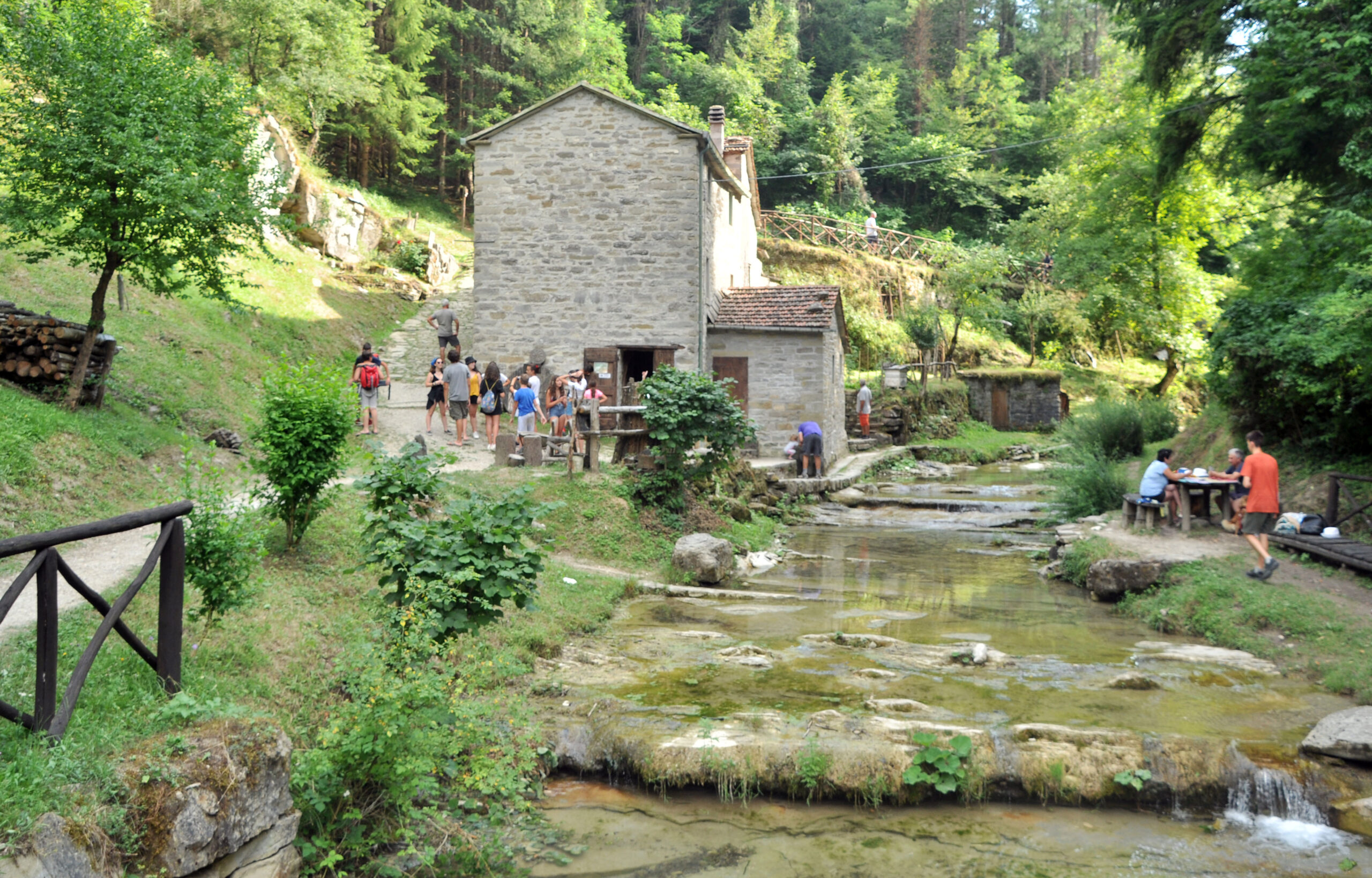 “Parchi per il clima”: circa nove milioni di euro da spendere sul territorio delle Foreste casentinesi