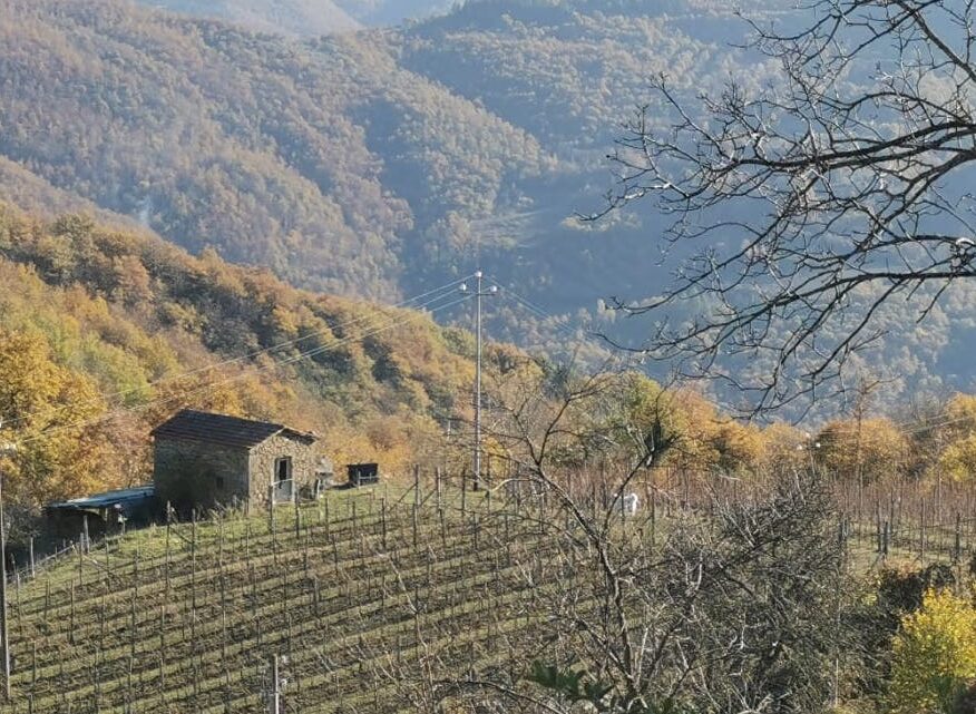 Cortona, trekking e degustazione di pinot nero per salutare l’Epifania