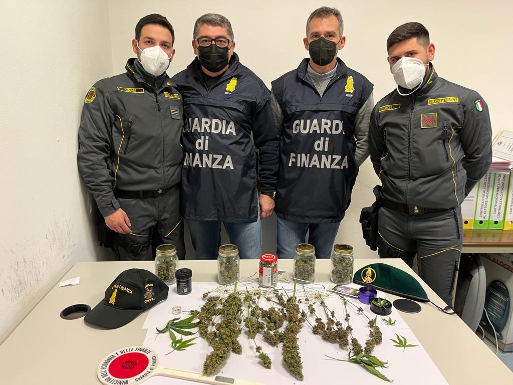 Sequestrata una serra con piante di canapa indiana e di 350 grammi di sostanze stupefacenti. Denunciato un soggetto nel valdarno