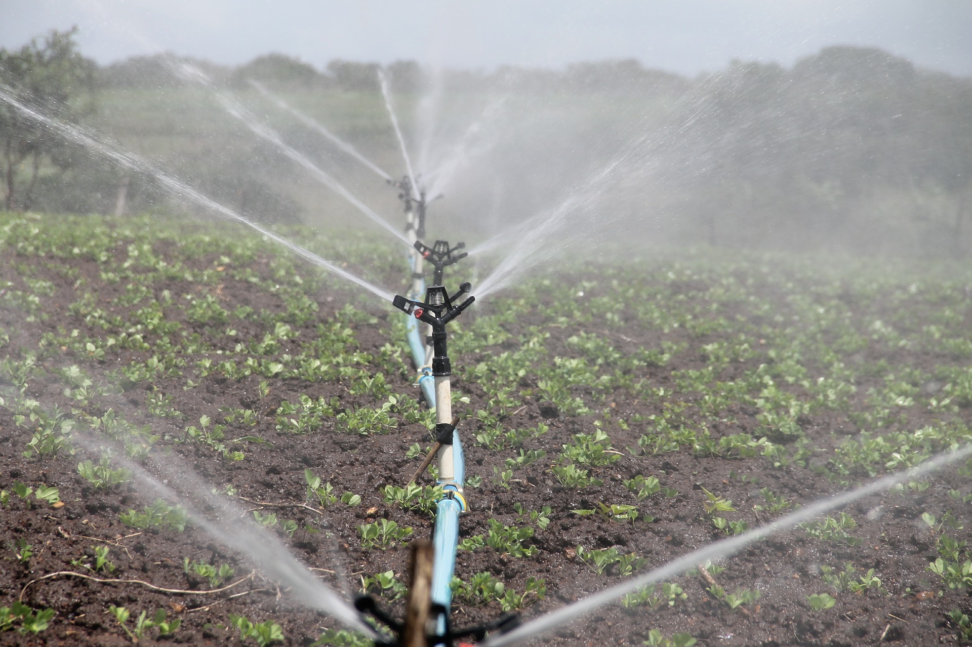 Agricoltura, in uscita bando per investimenti gestione della risorsa idrica a scopi irrigui 