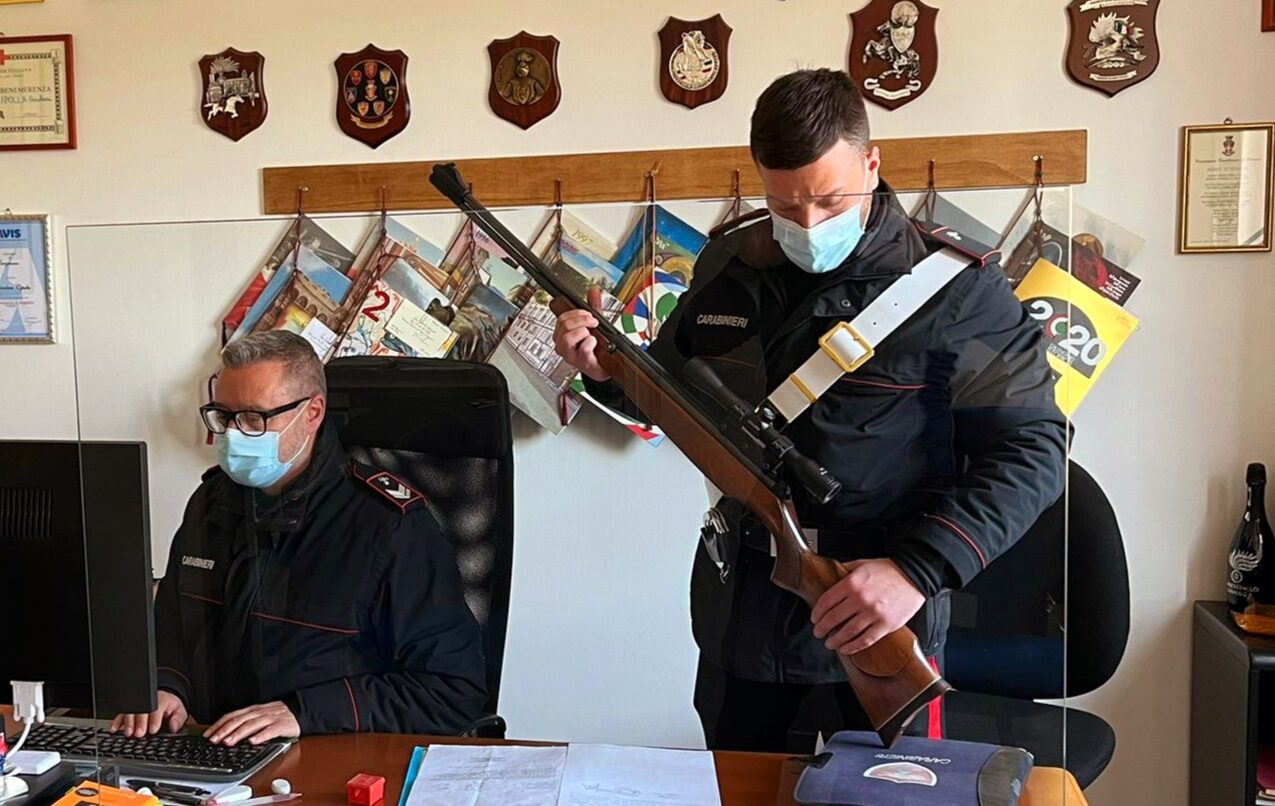 Gatto ucciso a Terranuova: denunciato un sospetto e sequestrata arma