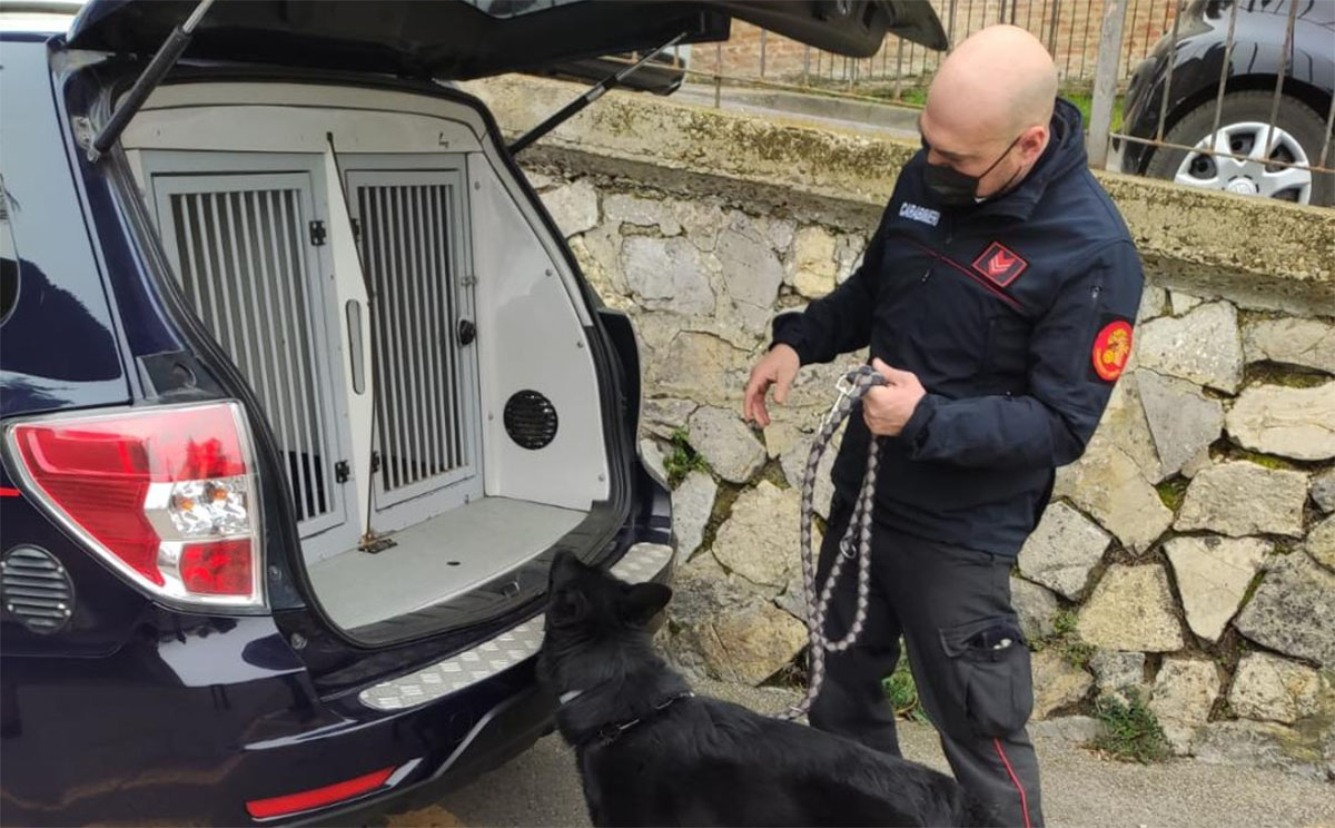Guidava in stato di ebrezza, i carabinieri gli ritirano la patente. Continua l’azione di contrasto e di prevenzione dei reati sul territorio della valdichiana