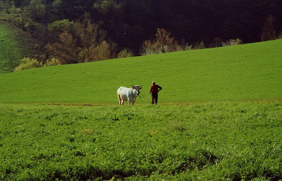 I prodotti del Casentino e la valorizzazione dei territori