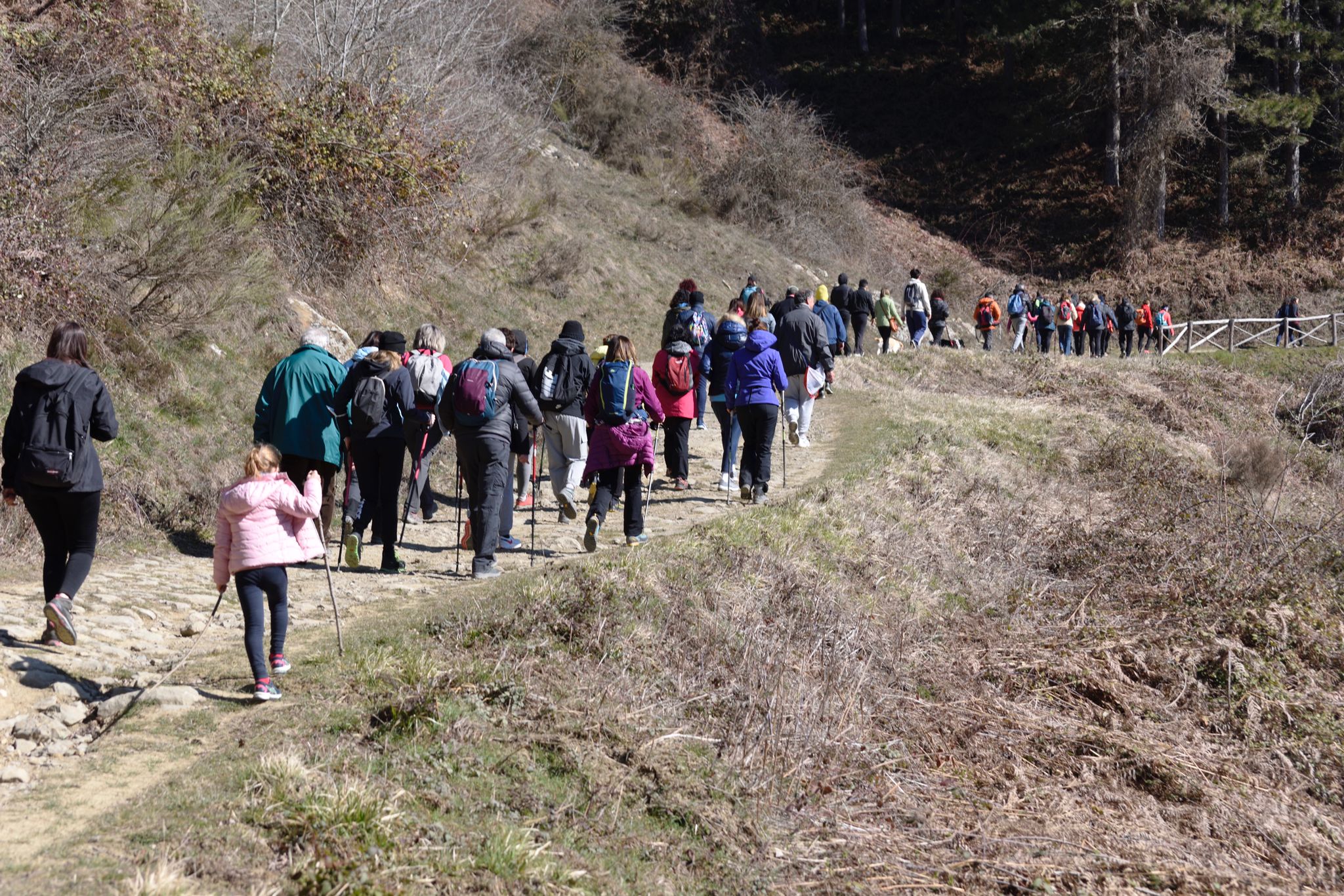 Cortona, successo per la camminata pro-Ucraina: oltre 70 partecipanti