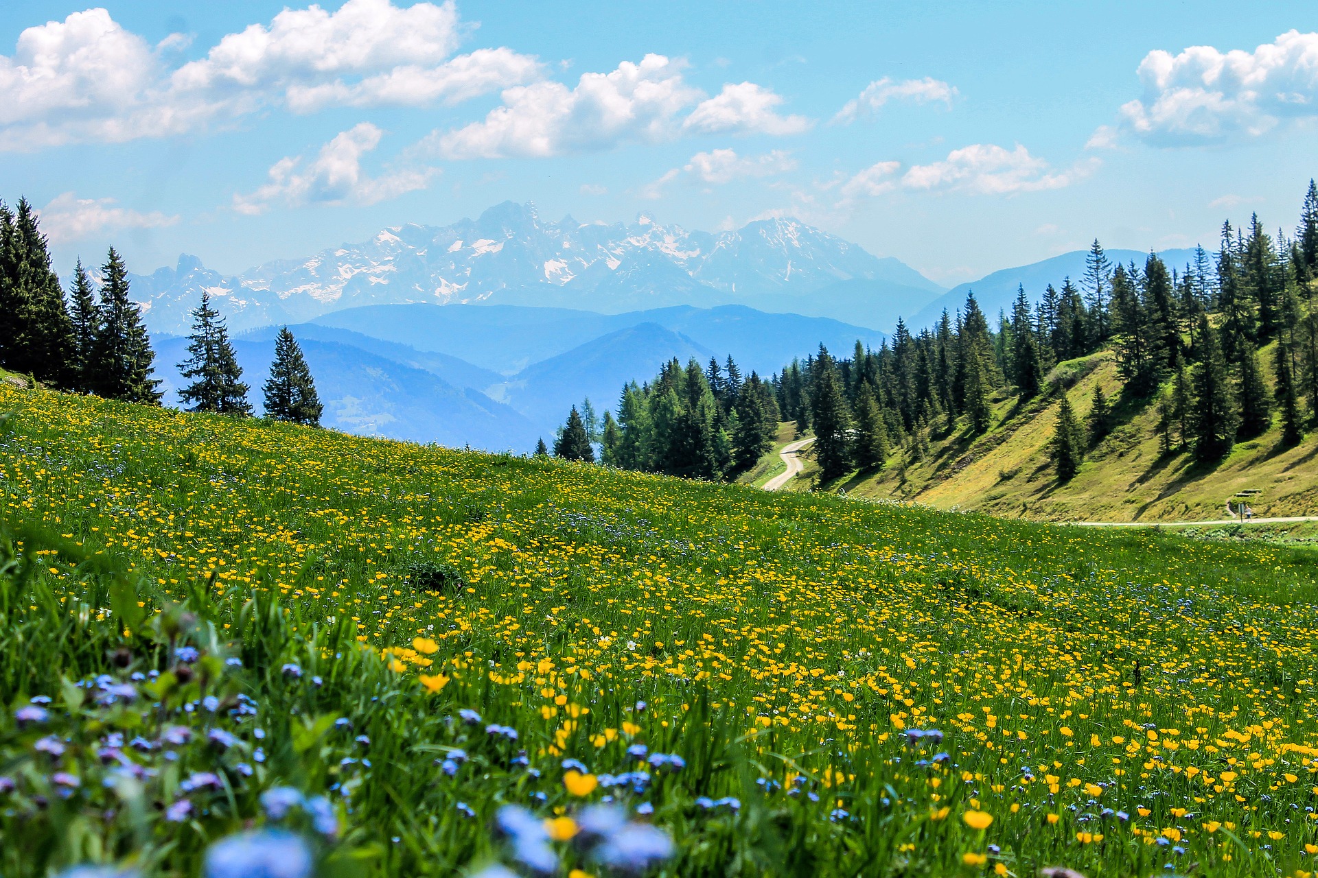 In arrivo bando per sostegno alle zone montane o sottoposte a vincoli naturali
