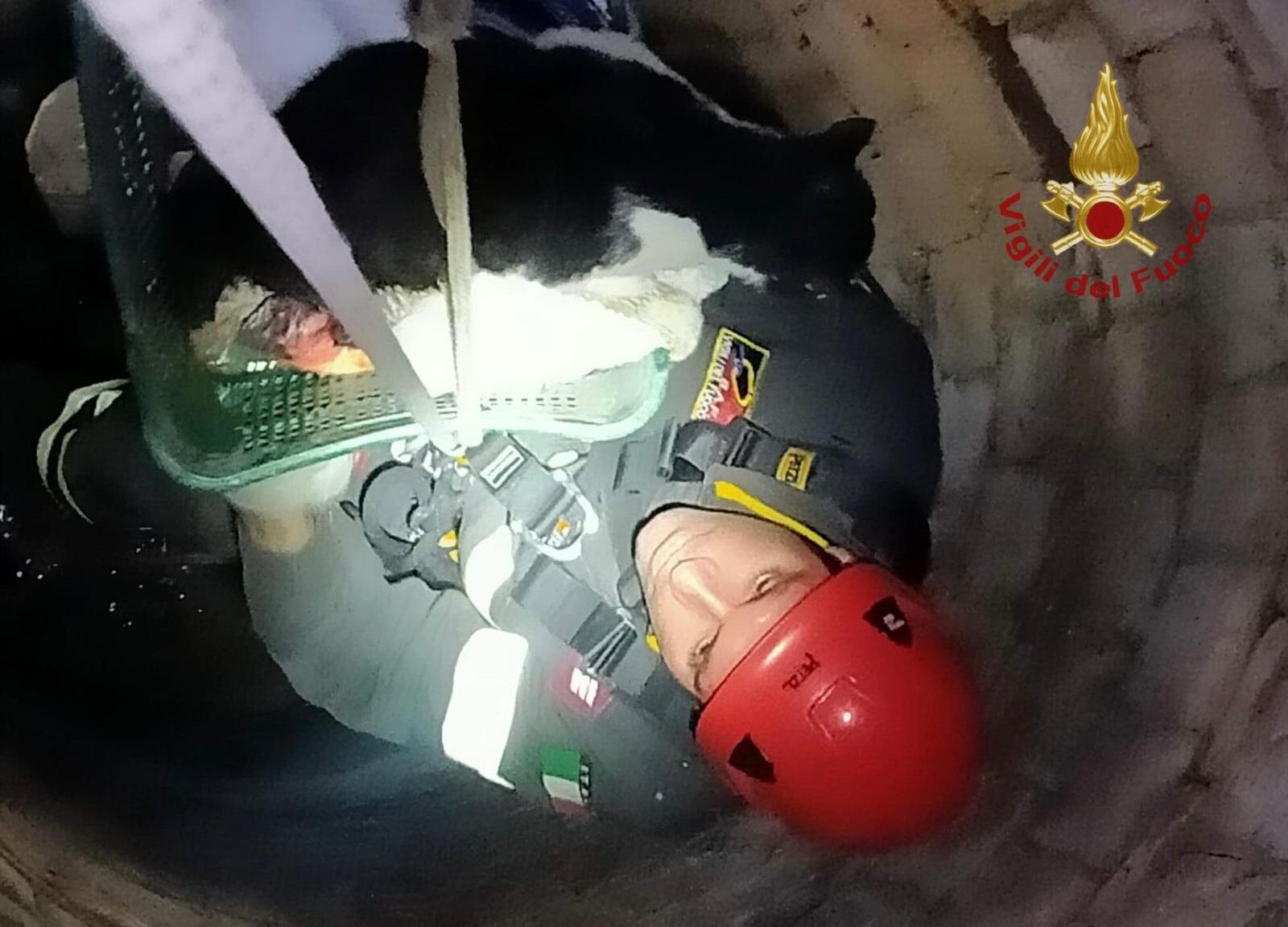 Gatto cade in un pozzo profondo 15metri, salvato dai vigili del fuoco