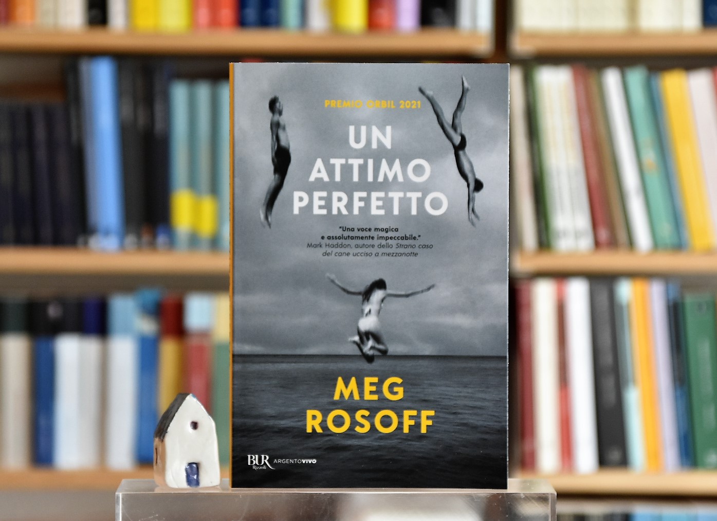 Un attimo perfetto di Meg Rosoff