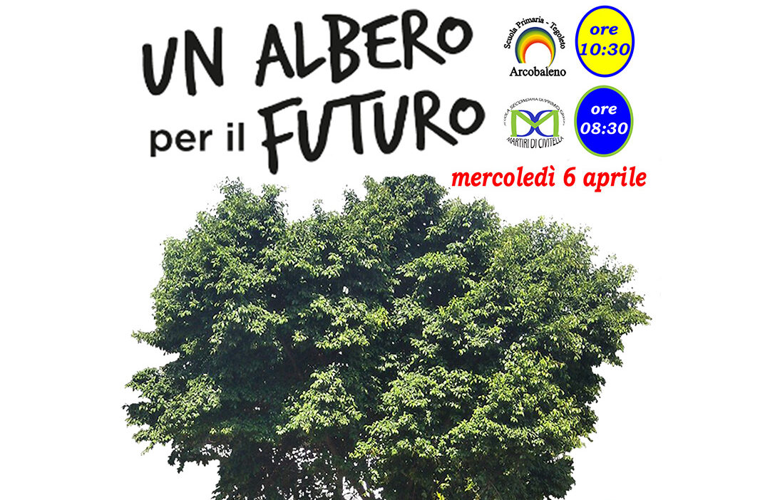 Civitella, “Un albero per il futuro”: gli studenti adottano l’Albero di Falcone