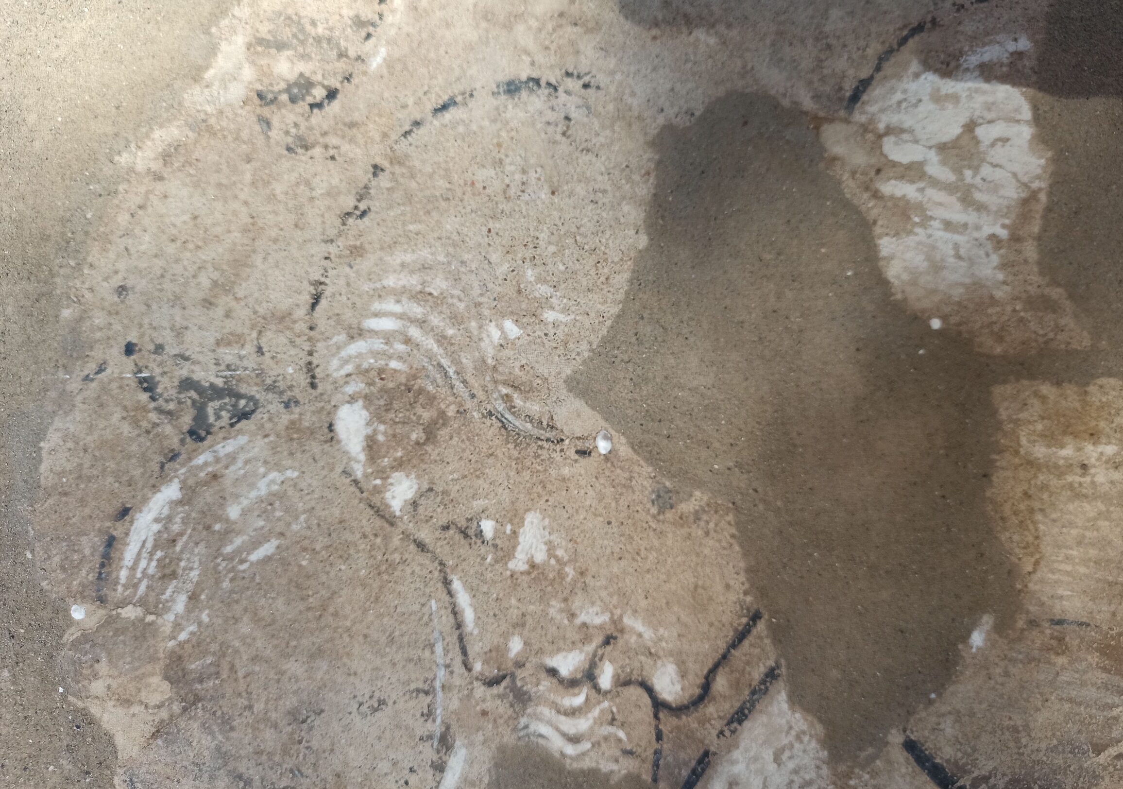 Museo Archeologico: tornano gli affreschi con le storie di San Benedetto