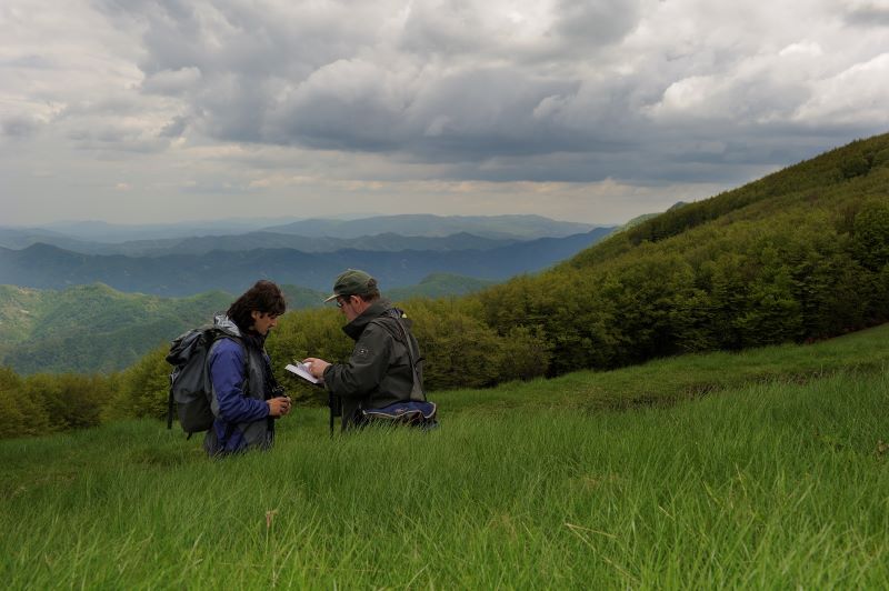 Parco delle Foreste Casentinesi: due borse di studio per laureati