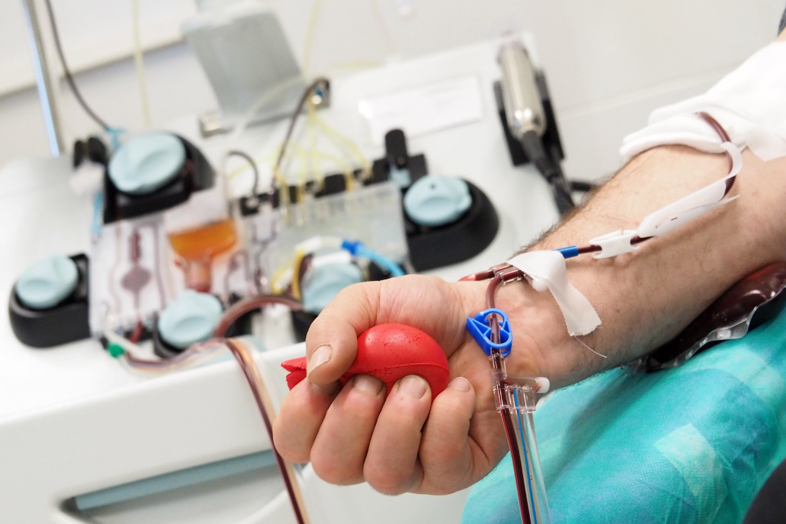Sangue, appello di Avis e Regione per giornata donatore: “In Toscana carenza preoccupante”