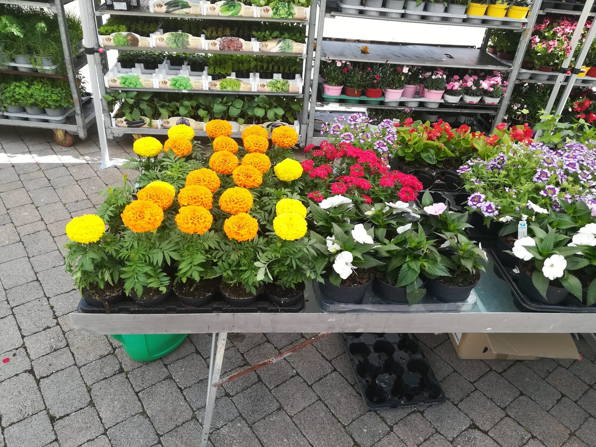 Figline e il mercato contadino. Secondo lunedì tra fiori, frutta, ortaggi ed è già successo