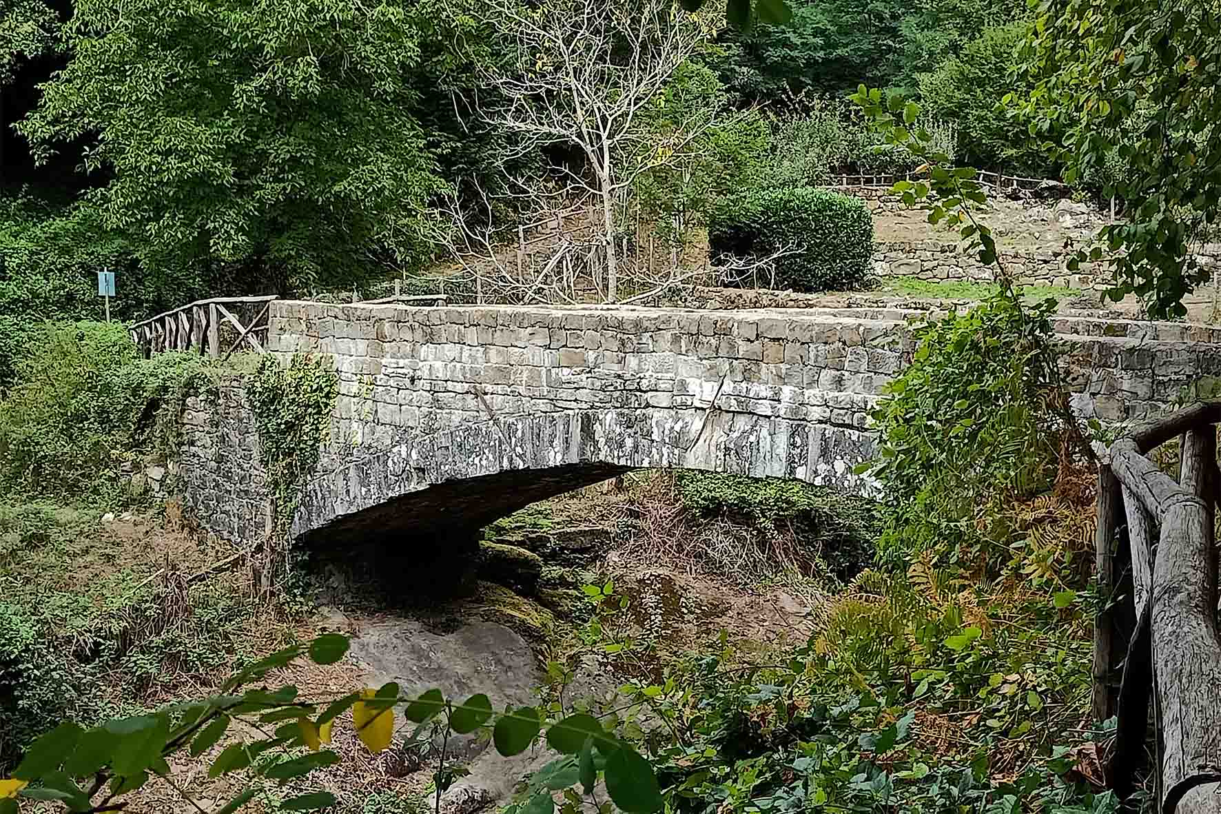 “Sulla via di Dante”: una camminata sul sentiero medievale di Raggiolo