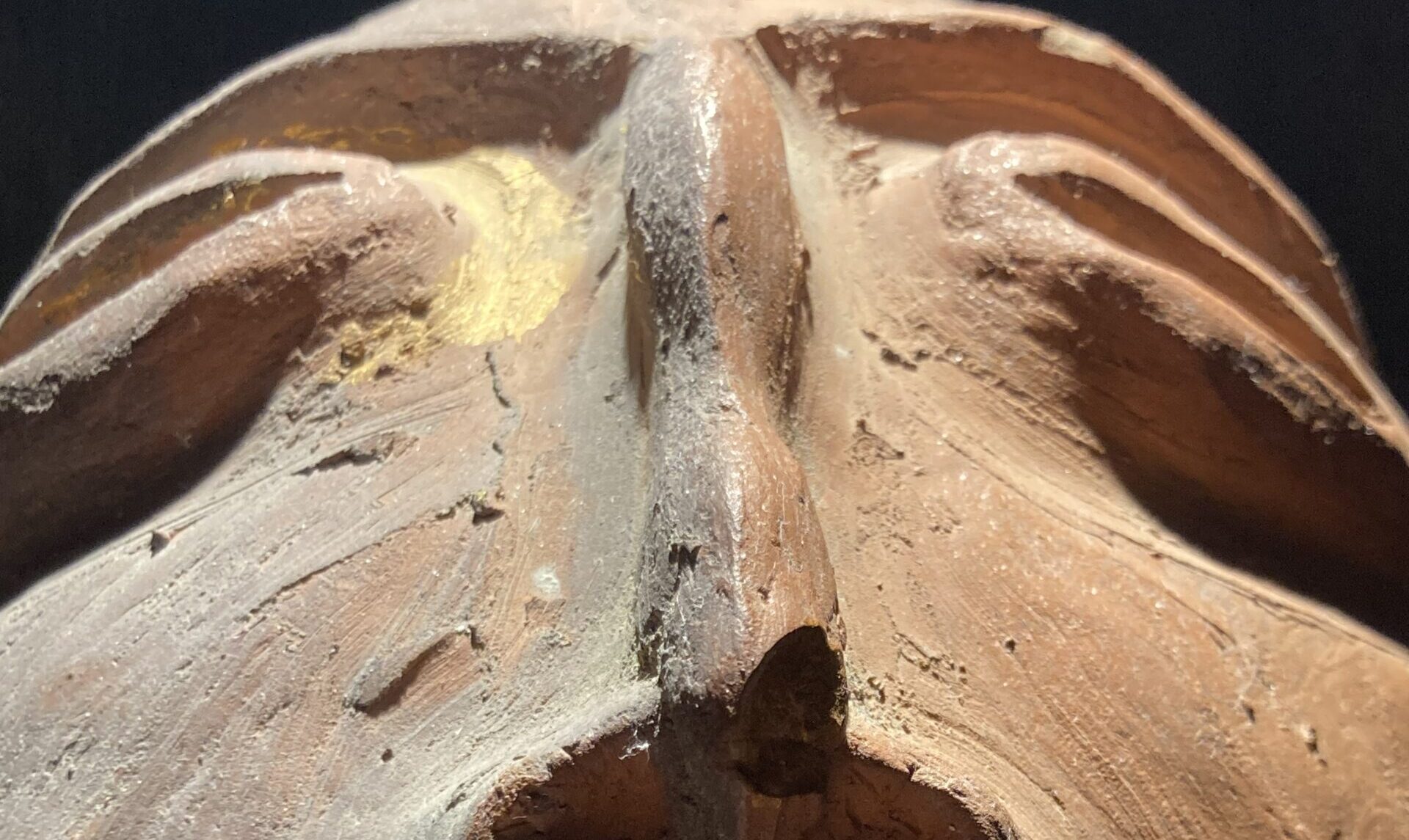 “Testabene, alieni e alienati”: le maschere di Ghinassi in mostra a la Formaggeria