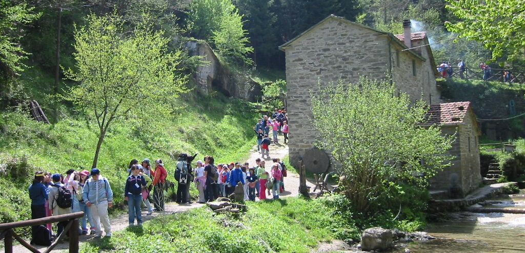 L’Agenzia Nazionale Aree Protette romena visita le Foreste Casentinesi