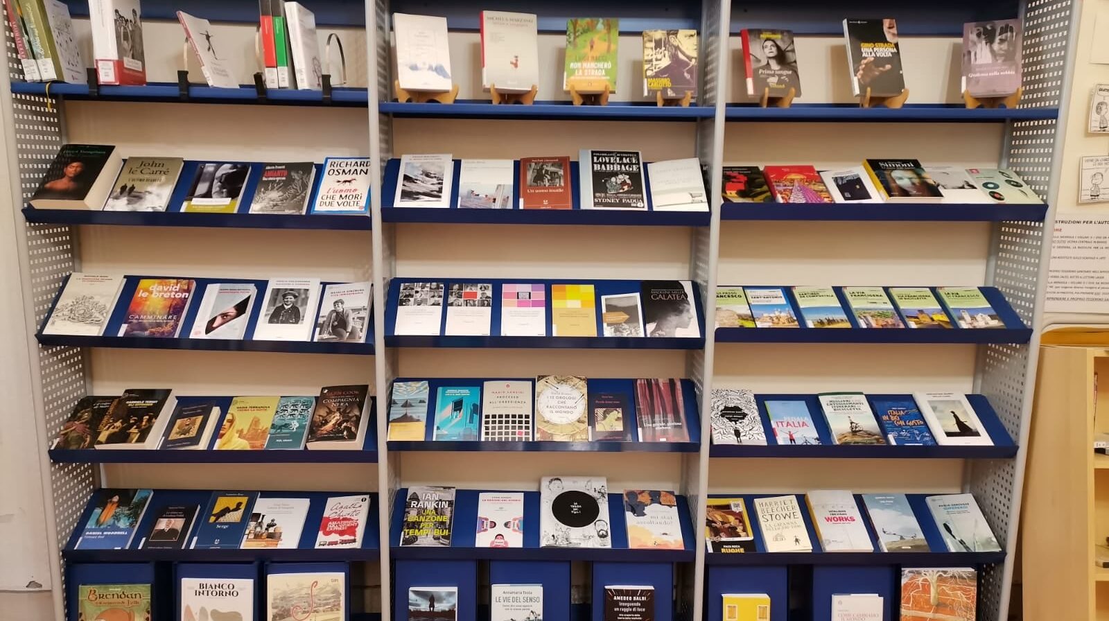 Biblioteca di Sansepolcro: conclusi i lavori nella sezione bambini e ragazzi