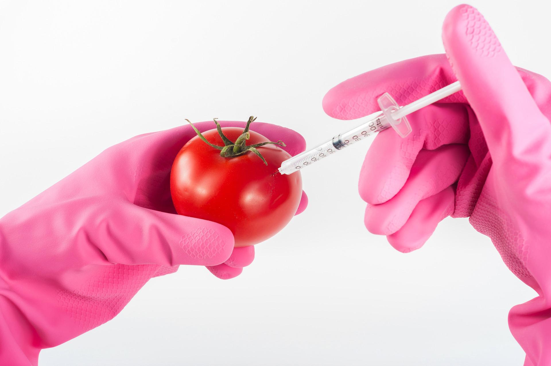 Perchè una Azienda di ingegneria genetica a Trieste gode di immunità illimitate?