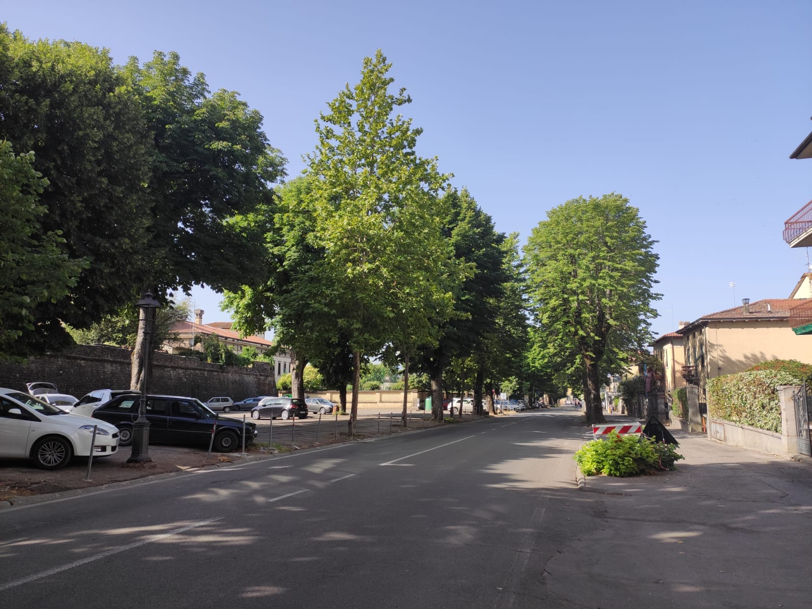 Sansepolcro: interventi sul verde pubblico e riqualificazione ambientale