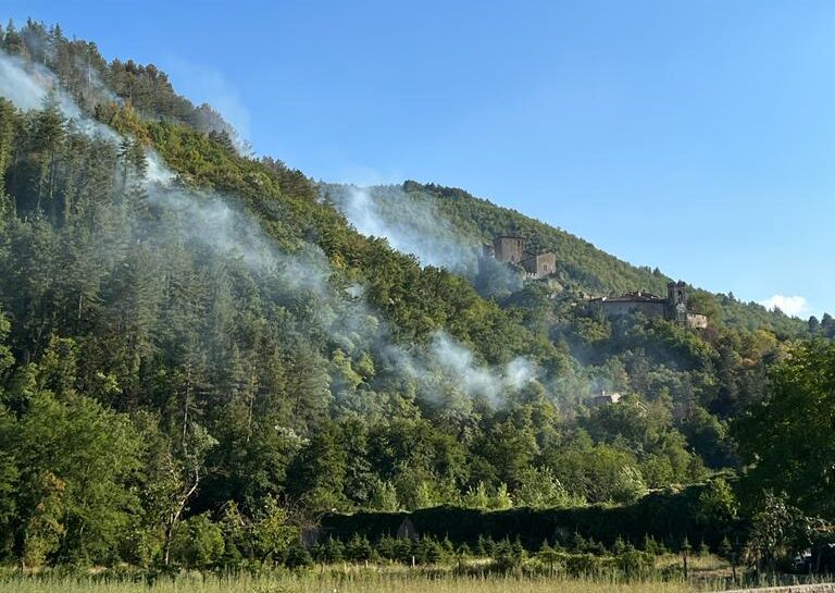 Bloccato l’incendio di Castel San Niccolò, al via la bonifica dell’area. Determinante la tempestività dei soccorsi