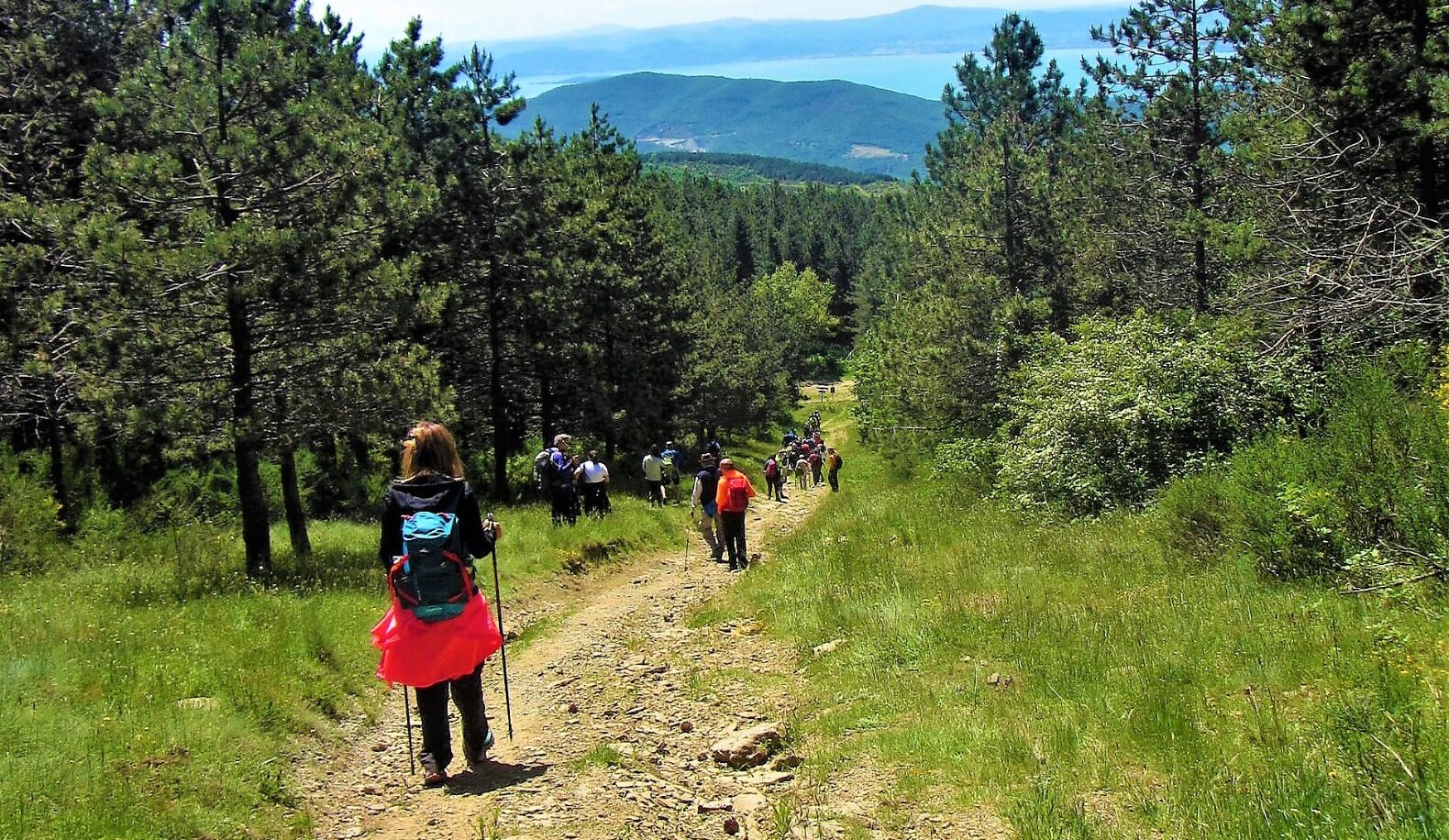 “Torniamo in vetta”: il programma estivo della Montagna Cortonese