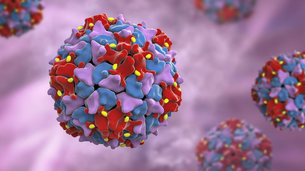 Poliovirus derivato da vaccino di tipo 2