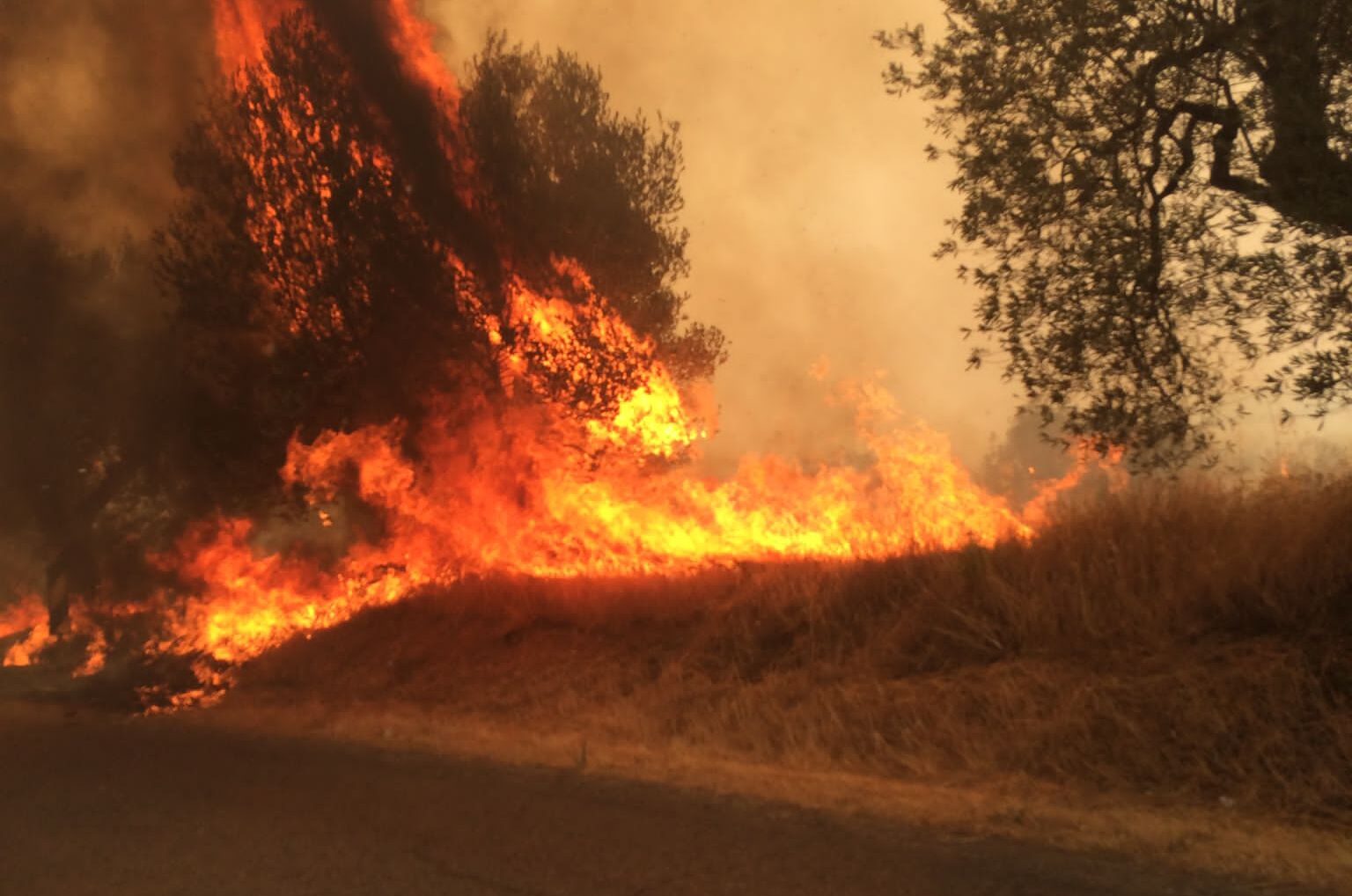 Terontola: il ringraziamento a vigili del fuoco e volontari antincendio al lavoro