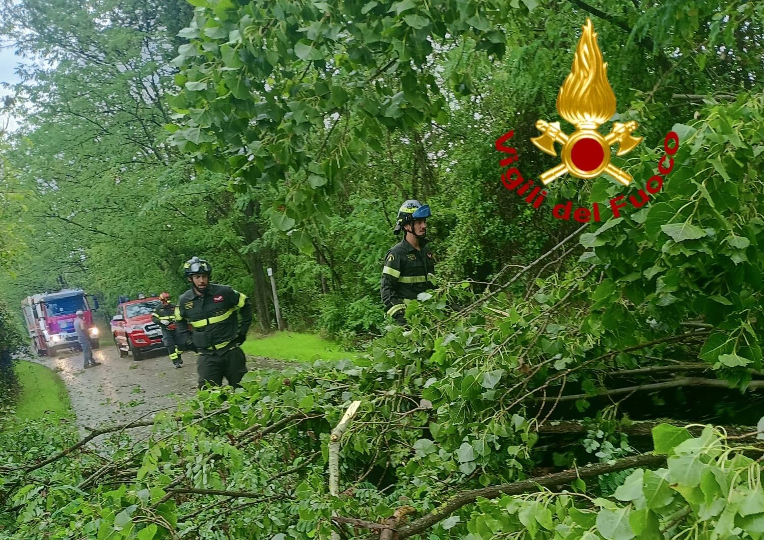 L’intervento dei vigili del fuoco per la rimozione di alcuni alberi caduti nella sede stradale