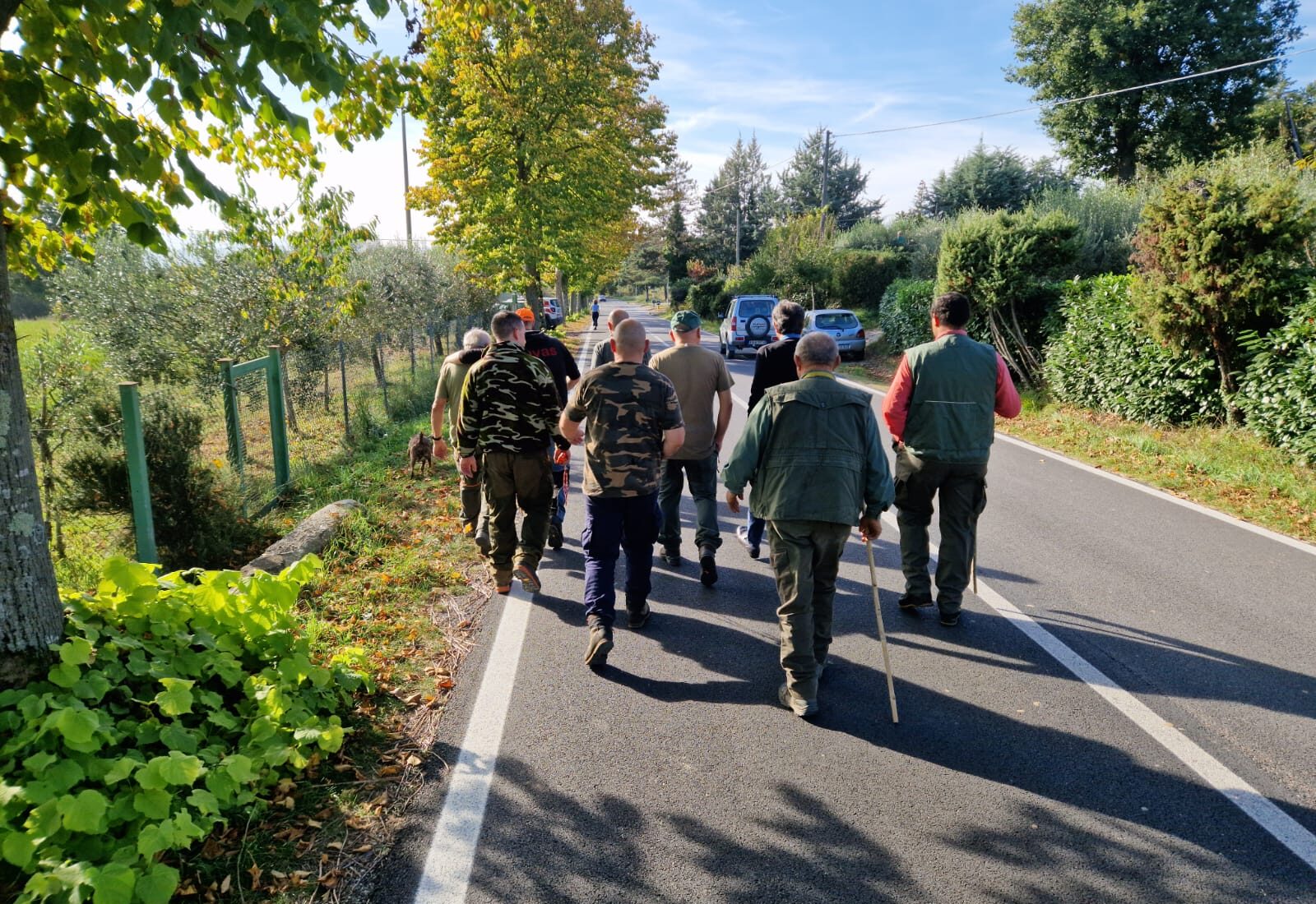 Cinghiali in zona San Paolo a Sansepolcro, il comune si è attivato per scacciarli