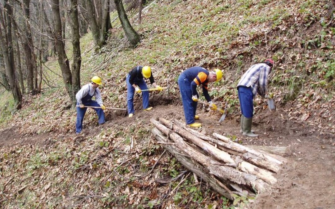 Operai forestali, FAI CISL: “Non dimentichiamo i nostri custodi dell’ambiente e della difesa idrogeologica”