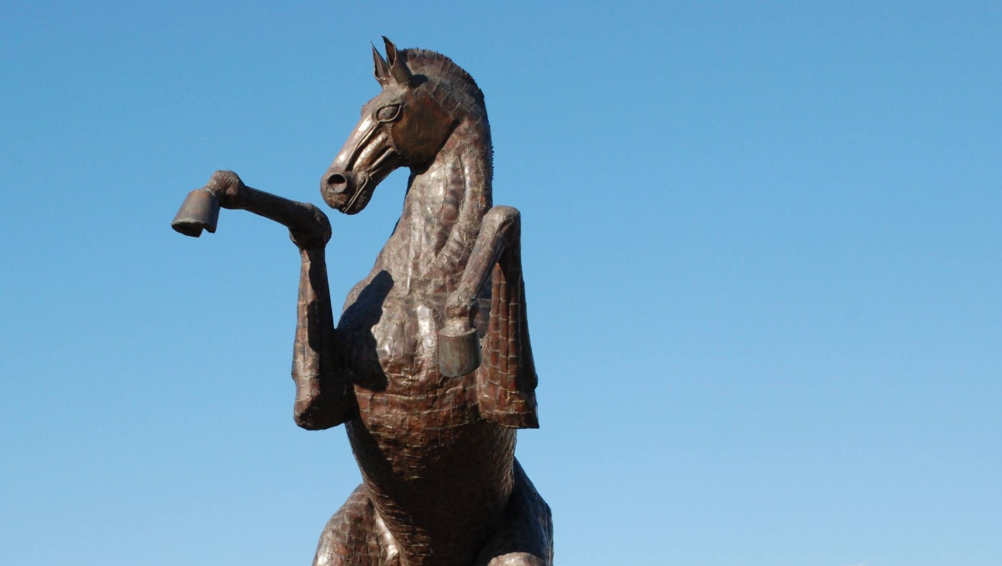 Il cavallo rampante di via Tarlati sarà illuminato contro il cancro al polmone
