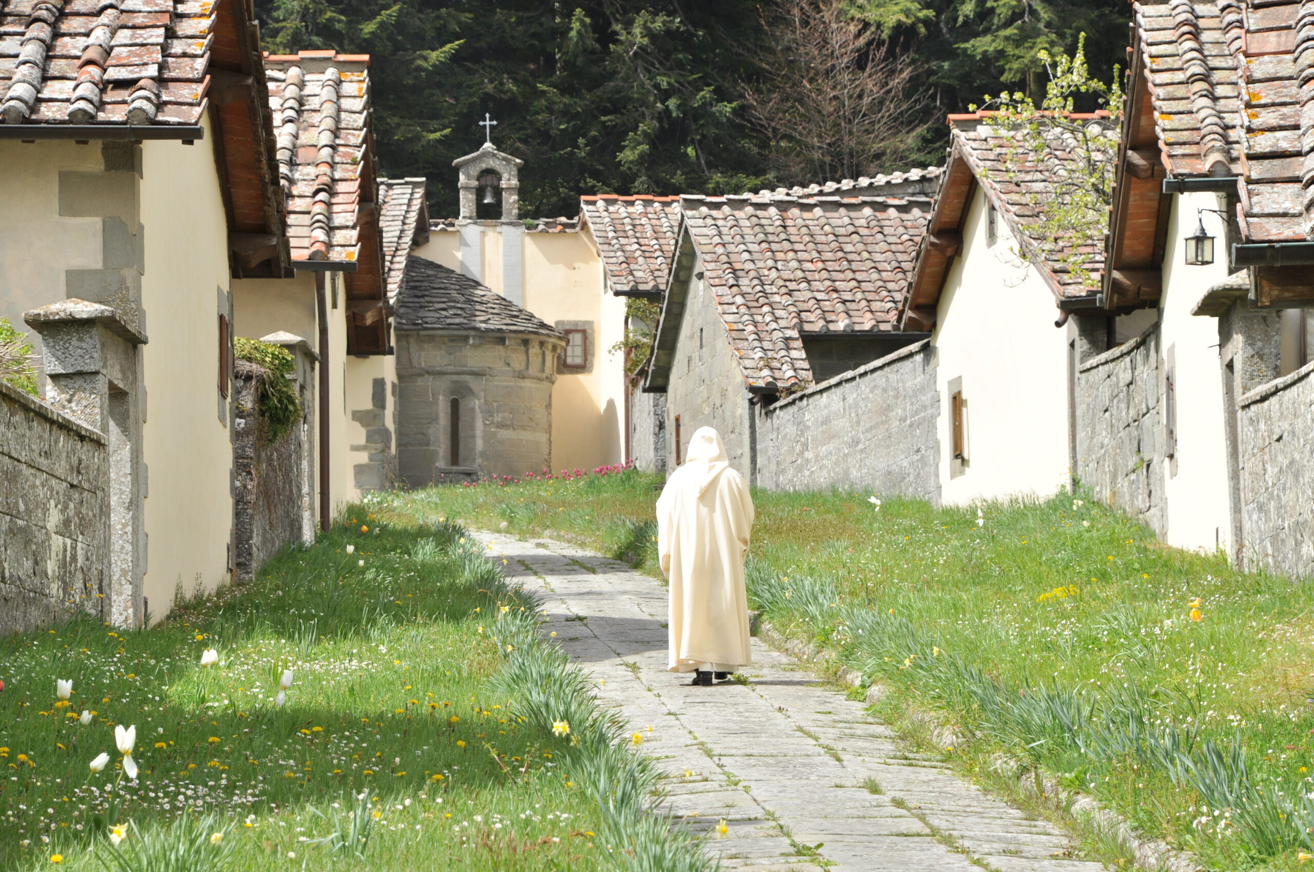 Il parco delle Foreste casentinesi: territorio e comunità in connessione. Due giorni al monastero di Camaldoli (lunedi 7 e martedi 8 novembre).