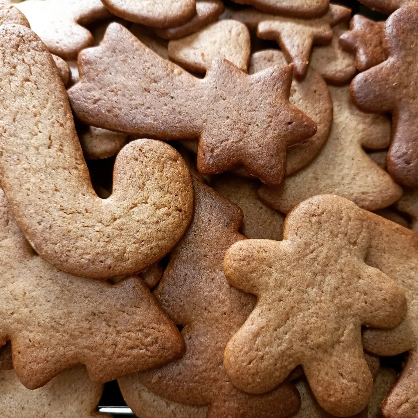 Biscottini allo zenzero delle feste